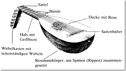 Laute: Bezeichnung der Teile